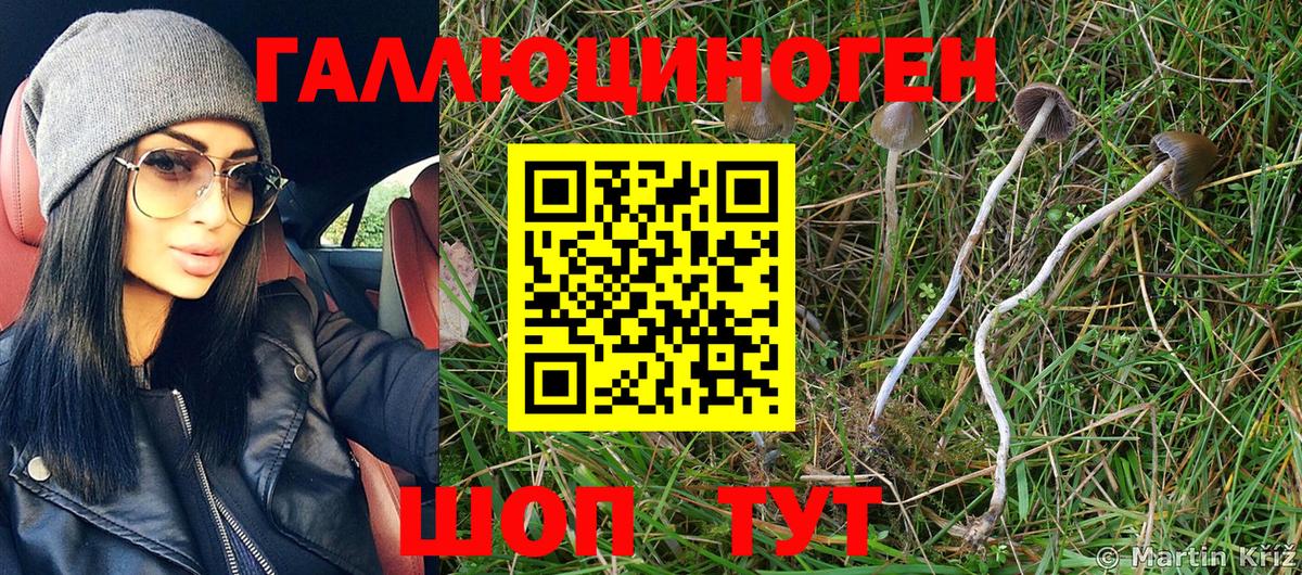 Псилоцибиновые грибы MAGIC MUSHROOMS Дербент
