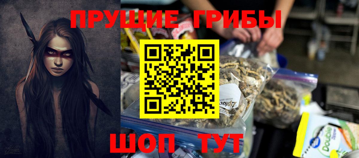 цены наркотик  Псилоцибиновые грибы MAGIC MUSHROOMS  Вход с VPN  Галлюциногенные грибы Psilocybine cubensis  Дербент 